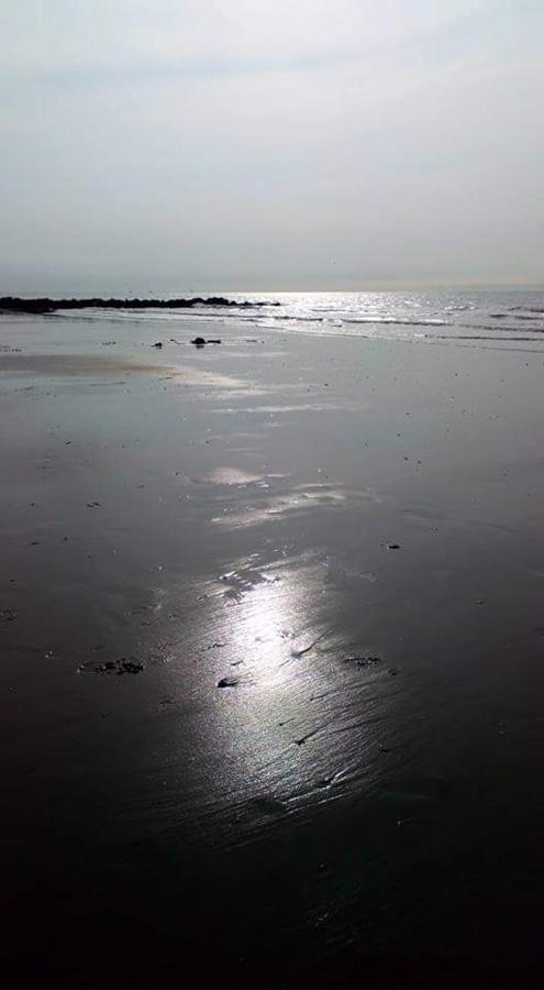 Stacaravan 4Pers In Bredene Met Eigen Tuintje 2449 Экстерьер фото